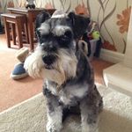 David Chilton - @dave.chilton - Instagram