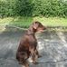 David Chilton - Facebook