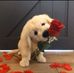 David Chido - Facebook