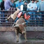 David Christiansen - @dodgefreak911 - Instagram