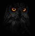 David Christiansen - Facebook