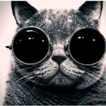 David Chronister - @chronistwo - Instagram