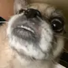 David Chun - @chunster - TikTok