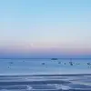 David Claire - @davidclaire - TikTok