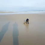 David Claire King - @dnking3 - Instagram