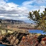 David Clapp - @clappyllama - Instagram