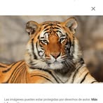 David Claudio - Facebook