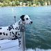 David Claussen - Facebook
