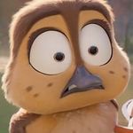 David Claußen - @davidclsn - Instagram