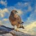 David Clayden - Facebook