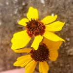 David  Cloyd - @davidcloydphotography - Instagram