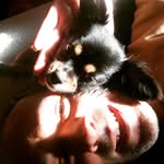 David cloyd - @david_cloyd40 - Instagram