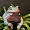 David Cloyd - @david.cloyd - TikTok