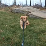 David Cloyd - @redsoxrule32 - Instagram