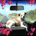 David Cockerill - Facebook