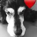David Codina - Facebook