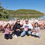 David Codina Arias - @davidcodi - Instagram