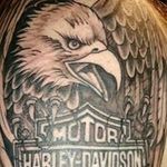 David Codling - @codlingdavid - Instagram