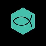 Davi Coin - @davidcoin.br - Instagram