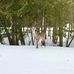 Dave Colangelo - Facebook