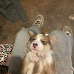 David Coldiron - @yoboidavid420 - Instagram