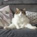 David Collard - Facebook