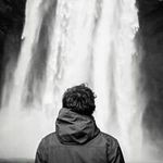 The David Collard Experience - @collardifarm - Instagram