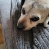 David Collart - @david.collart - TikTok