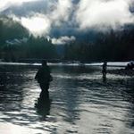 David Collings - @davidcollings_ - Instagram