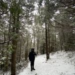 David Colombo - @david.colombo - Instagram