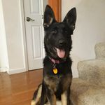 David Wm - @david.colp - Instagram