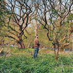 David Edward Colston - @trailofdave - Instagram