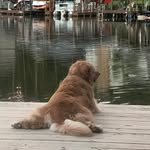 David Coltrane - @david.coltrane.3 - Instagram