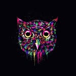 davidrockcombey - @david_combey - Instagram