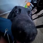 @davidcombs__ - Instagram