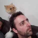David Comeau - @david_comeau83 - Instagram