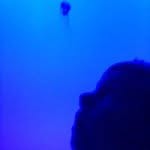 David - @david_comes_to_life - Instagram