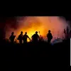 David Compo - @david.compo - TikTok