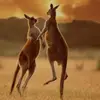 David company llc - @david.company.llc - TikTok
