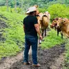 David Compean🤠♣️ - @davidcompean617 - TikTok
