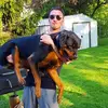 David Compton Compto - @davidcomptoncompton - TikTok
