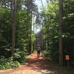 Offical DG Page David Comstock - @davidonthecourse - Instagram