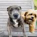 David Condie - Facebook