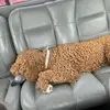 David Conejo - @david.conejo57 - TikTok