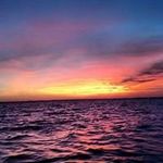 David Confair - @davidconfair - Instagram