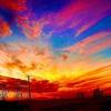 David - @davidcongernature - TikTok