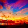 David - @davidcongernature - TikTok