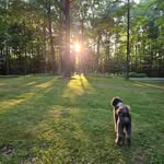 David Lisa Conlan - @d.brian.c - Instagram