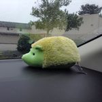 David Conlon - @actuallynotdave - Instagram