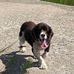 David Conlon - Facebook